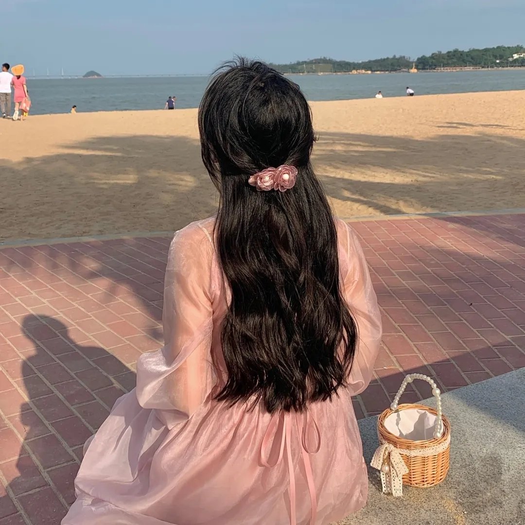 沙鸥
